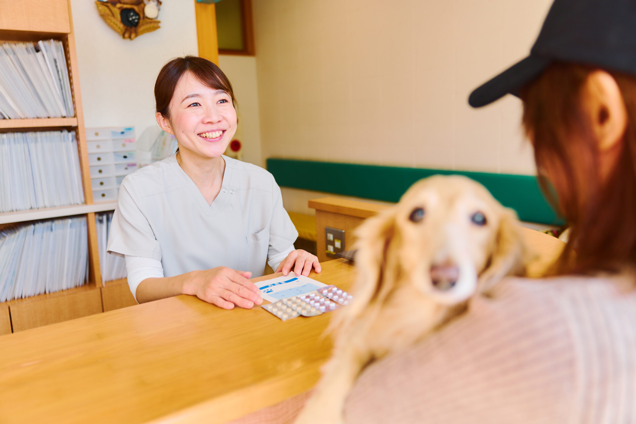 院内紹介