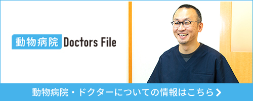 Doctors File