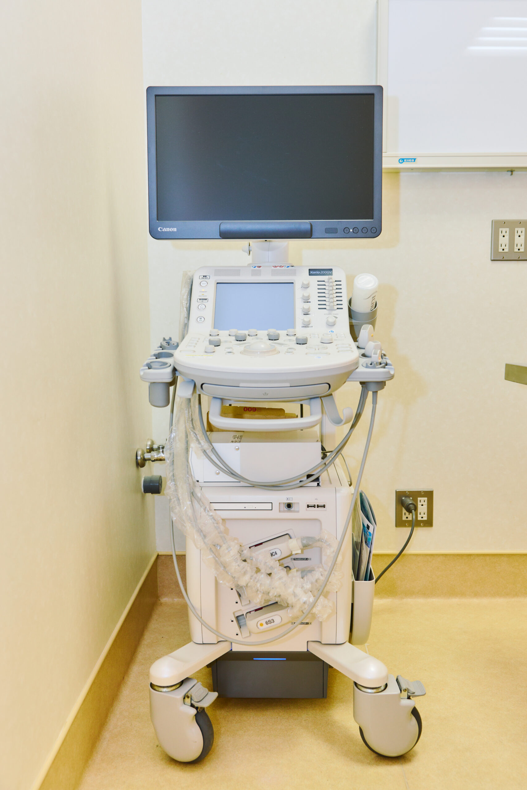 Canon Xario200GV
